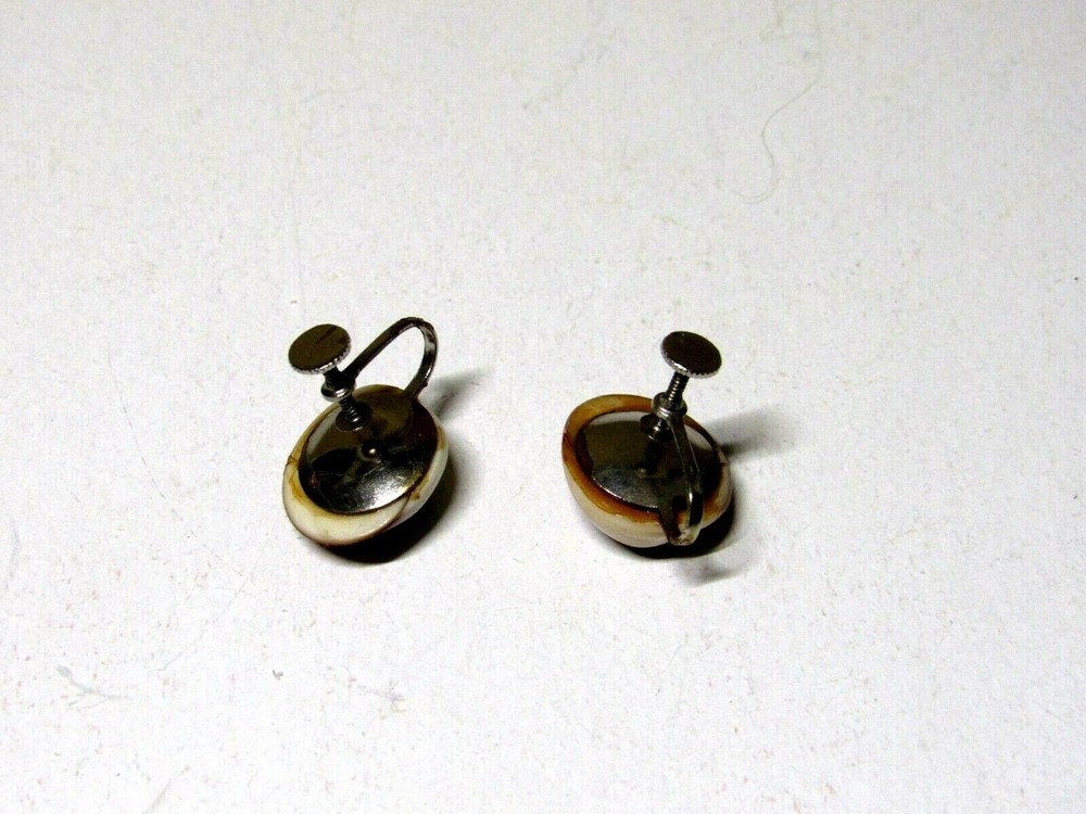 Vtg Polished Cat's Eye Shell Screw Back Earrings