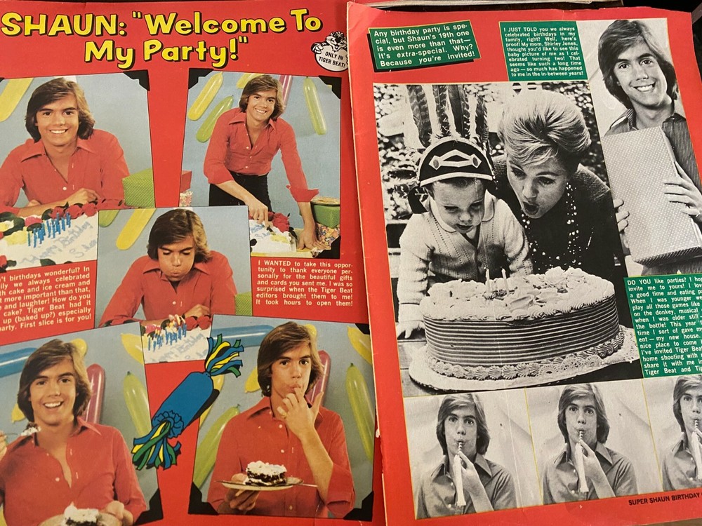 Shaun Cassidy, Two Page Vintage Clipping