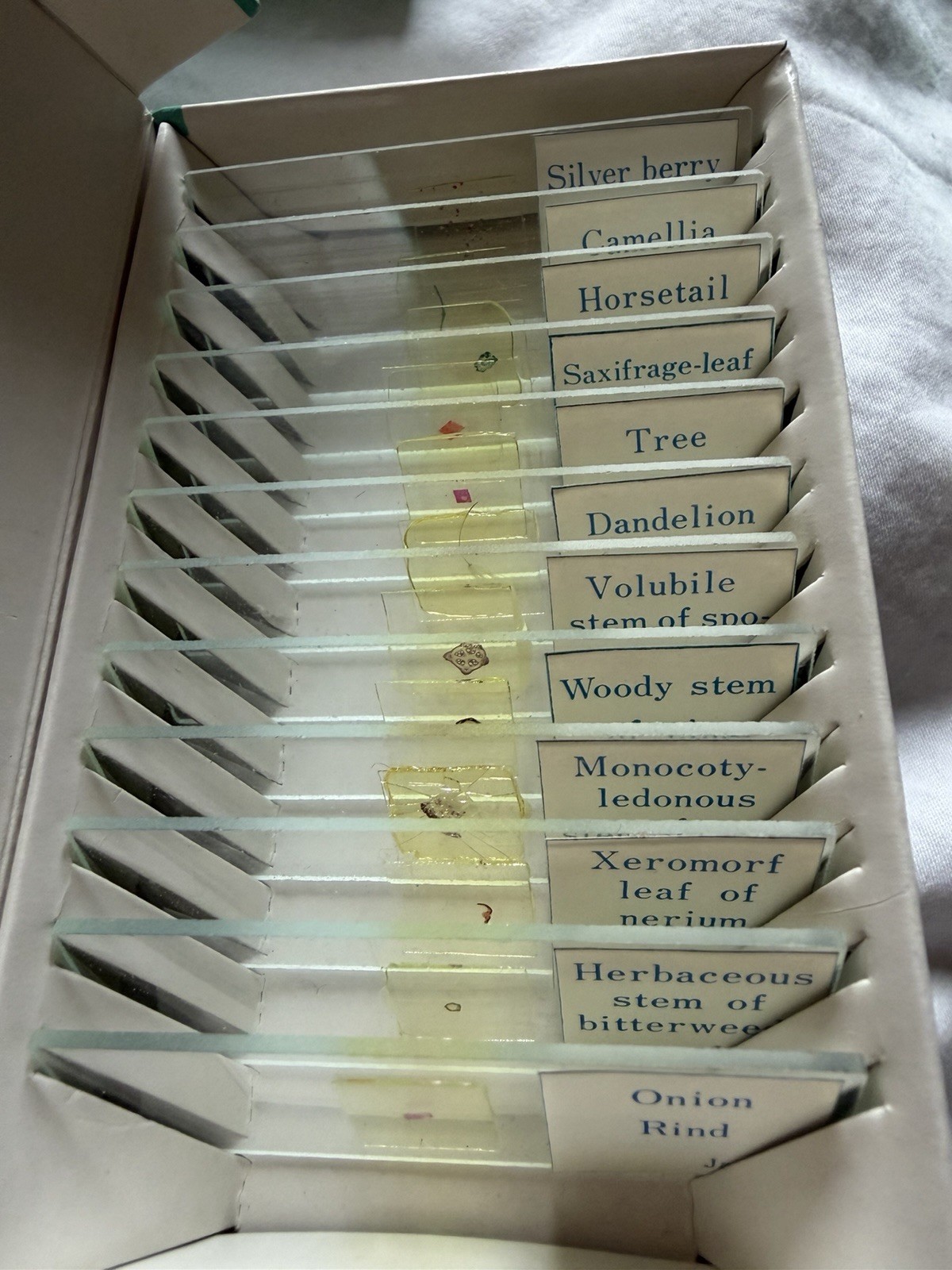 8 Vintage Microscope Slide Boxes. Prepared slides