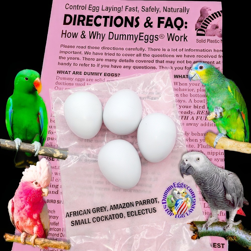 Dummy Eggs PLASTIC MED PARROT BIRD EGGS STOP LAYING African Gray Amazon Eclectus