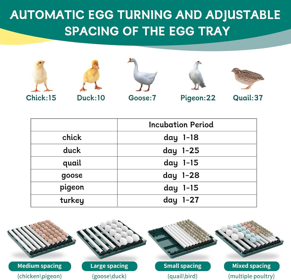 Automatic Egg Incubator 12-38 Eggs Automatic Poultry Intelligent Incubator for H