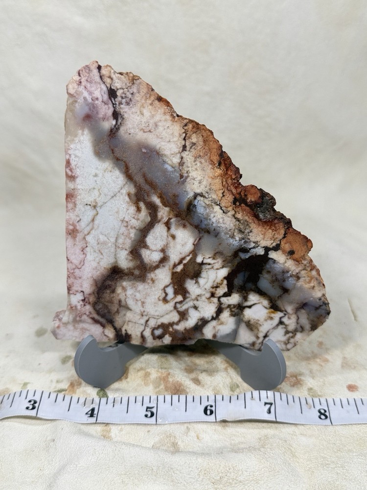 Nevada Desert Fire Jasper Slab, Lot#190