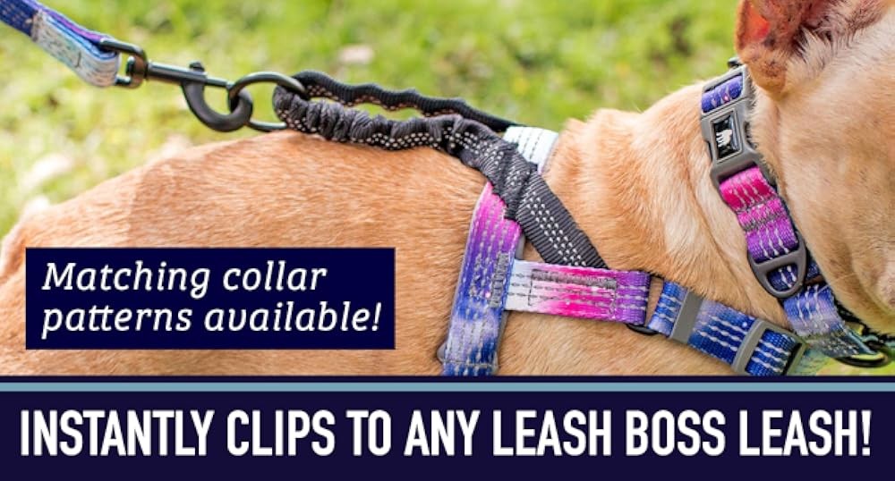 Leash No Pull Dog Harn, Easy Walk for Small, Medium, and Lar