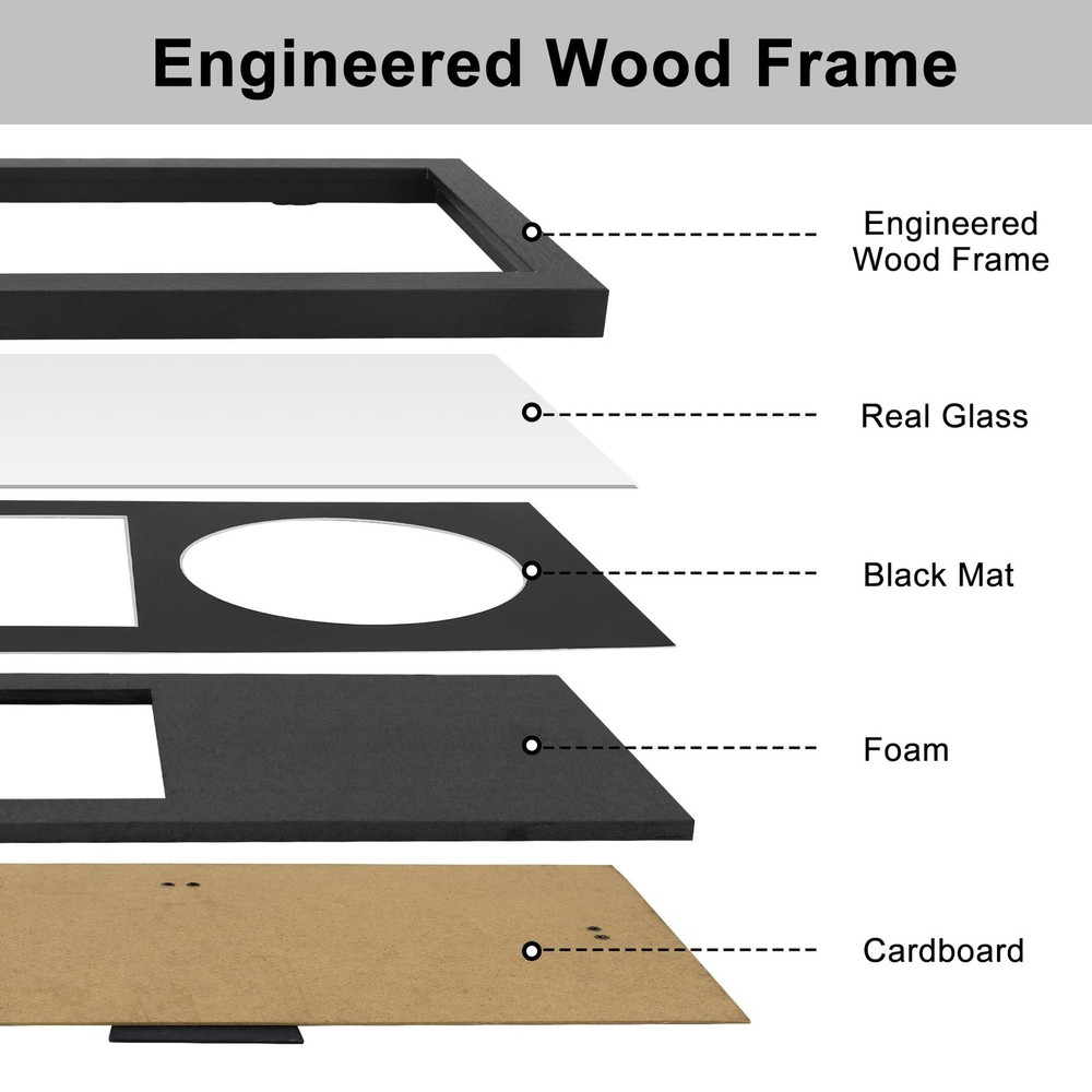FramePro CD Display Frame, 14.2"x7.7" Signed CD Cases and Discs Holder, Wall ...