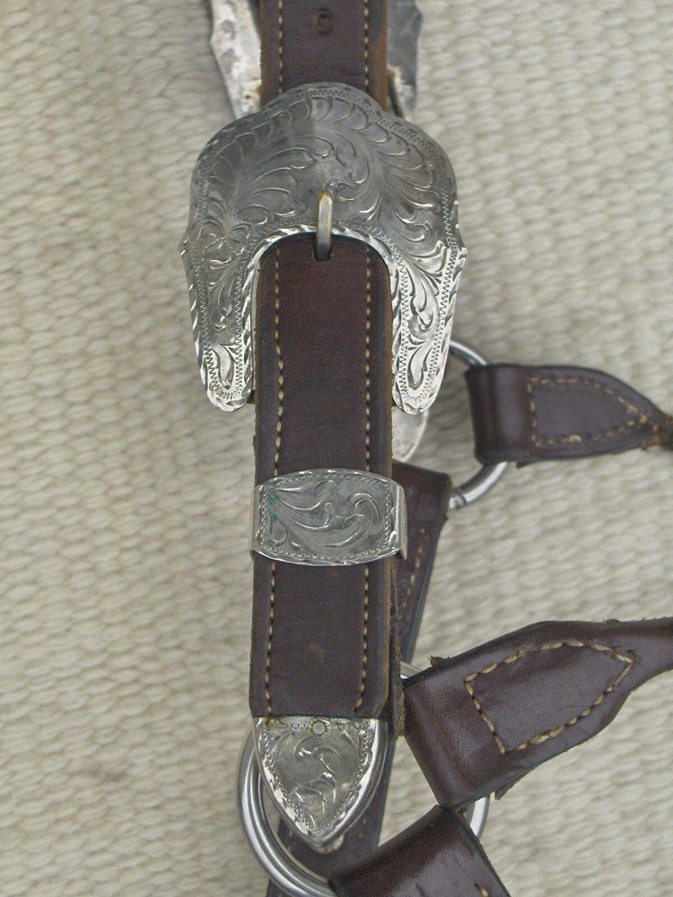 BILLY ROYAL WESTERN SHOW HALTER with SILVER@@