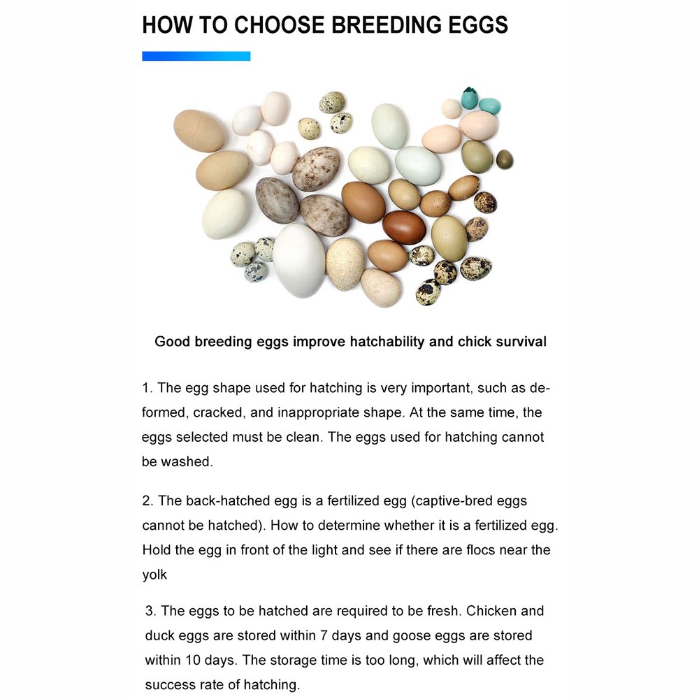 Automatic Poultry Hatcher Egg Incubator For Chickens 9 Eggs VOEJ