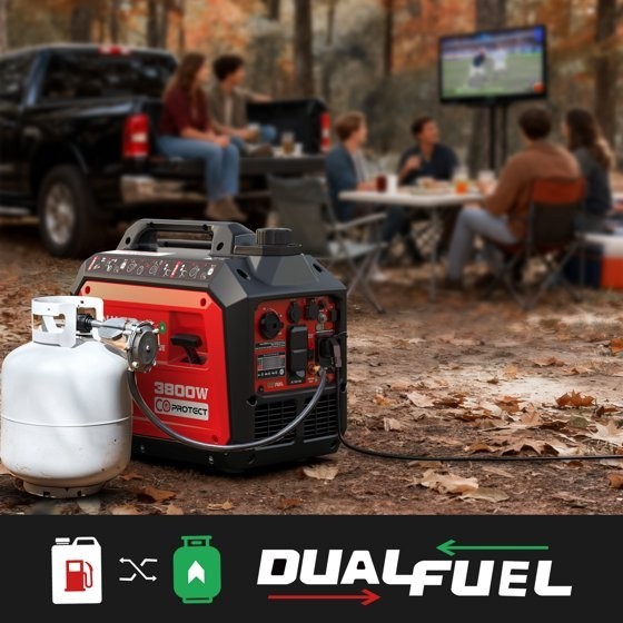 PowerSmart Portable Equipment 3800-Watt Dual Fuel Manual Start with CO Detect Qu