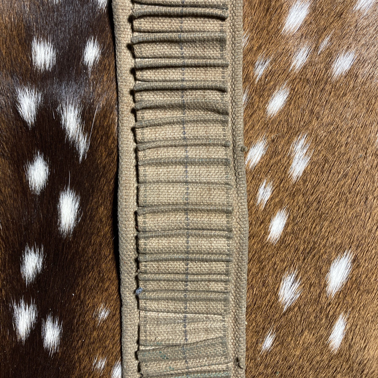SPANISH AMERICAN WAR U.S. KRAG AMMO CANVAS BELT 45 SLOTS 30-40 Krag ?