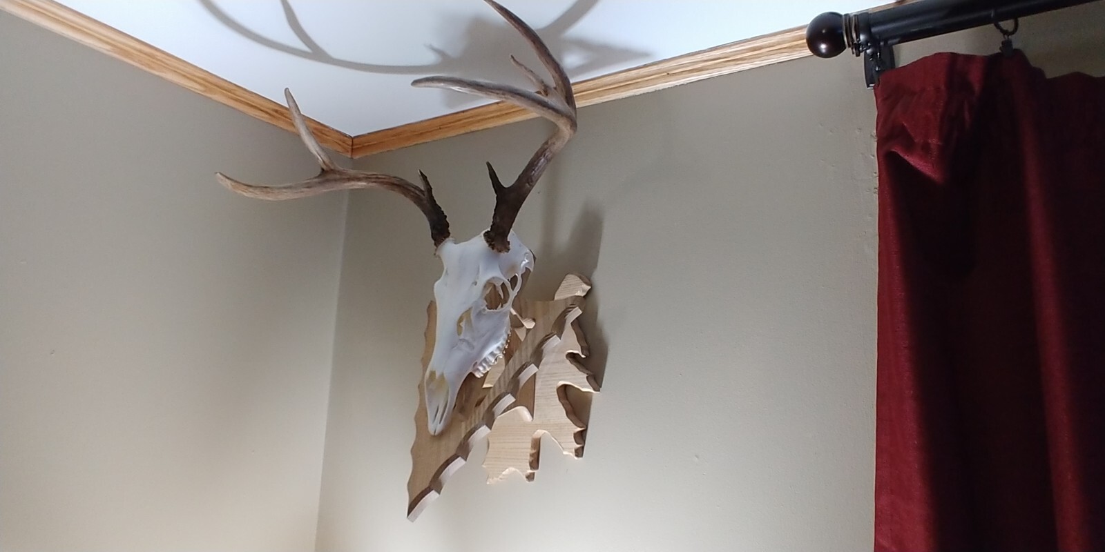 solid wood taxidermy European skull mount deer plaque deer head trophy hanger