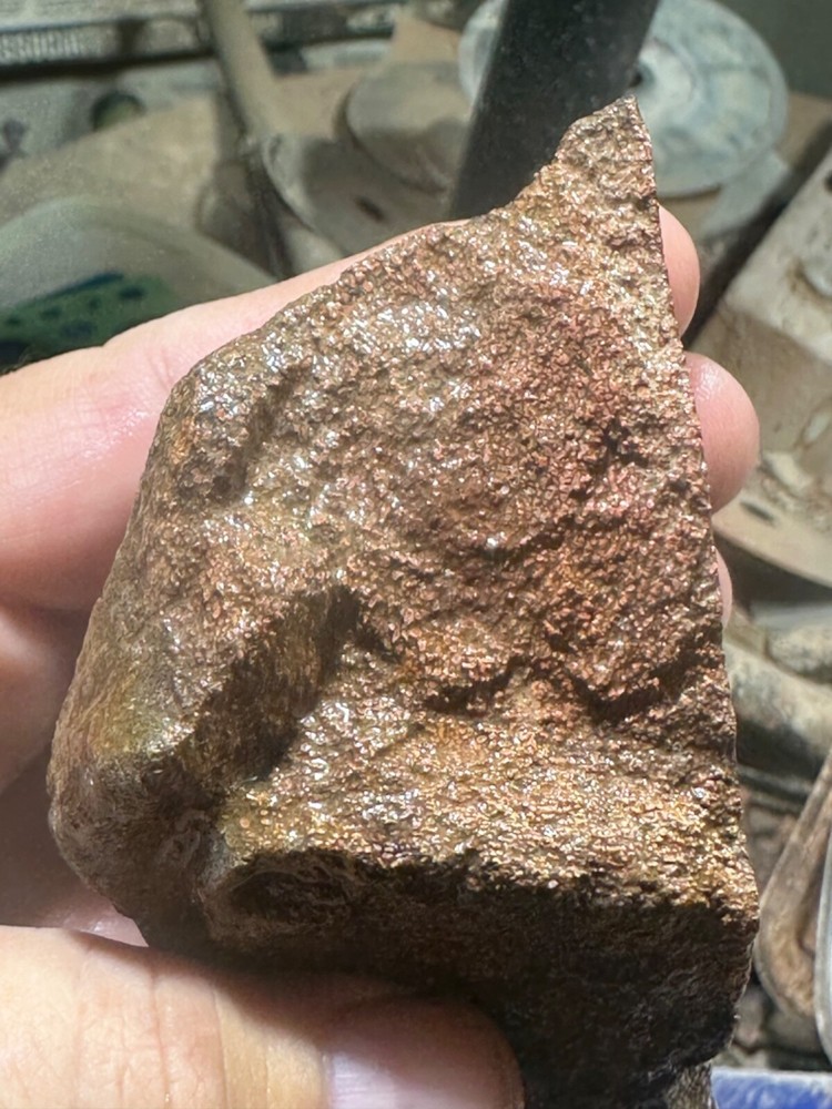 Dinosaur gem bone rough chunk.