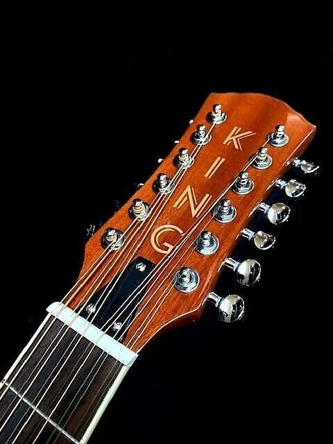 GREAT PLAYING NEW 12 STRING ACOUSTIC DOBRO RESONATOR GUITAR