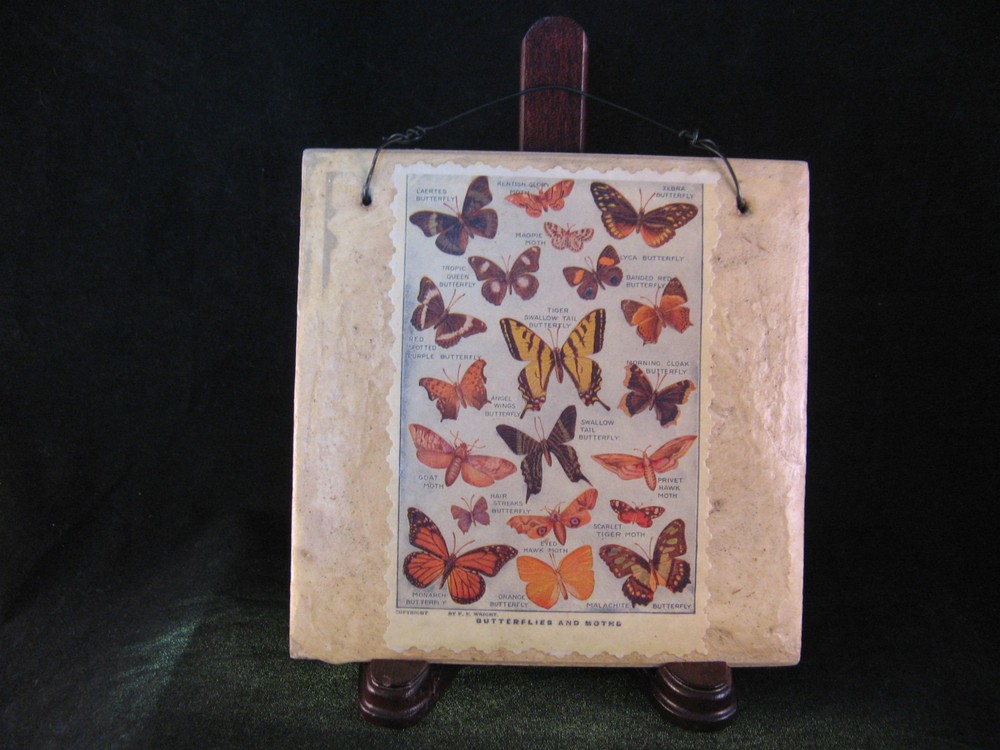 Butterfly & Moth Postcard on Tile Wall Art 5 7/8" square - EUC