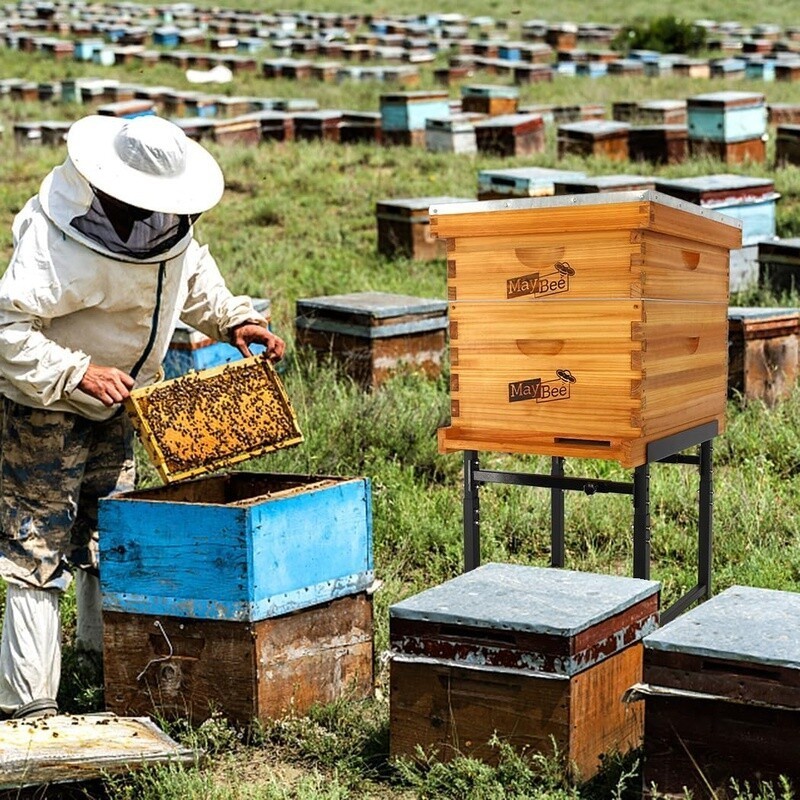 Adjustable Metal Bee Hive Stand Height Width Stable Beehive Frame Durable Tool