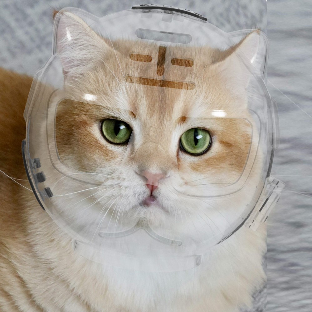 Cat Astronaut Costume Grooming Accessory Biting Prevention Muzzle