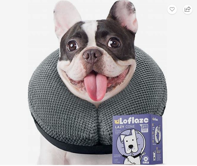 Loflaze Inflatable Protective Dog Collar - Medium - Used