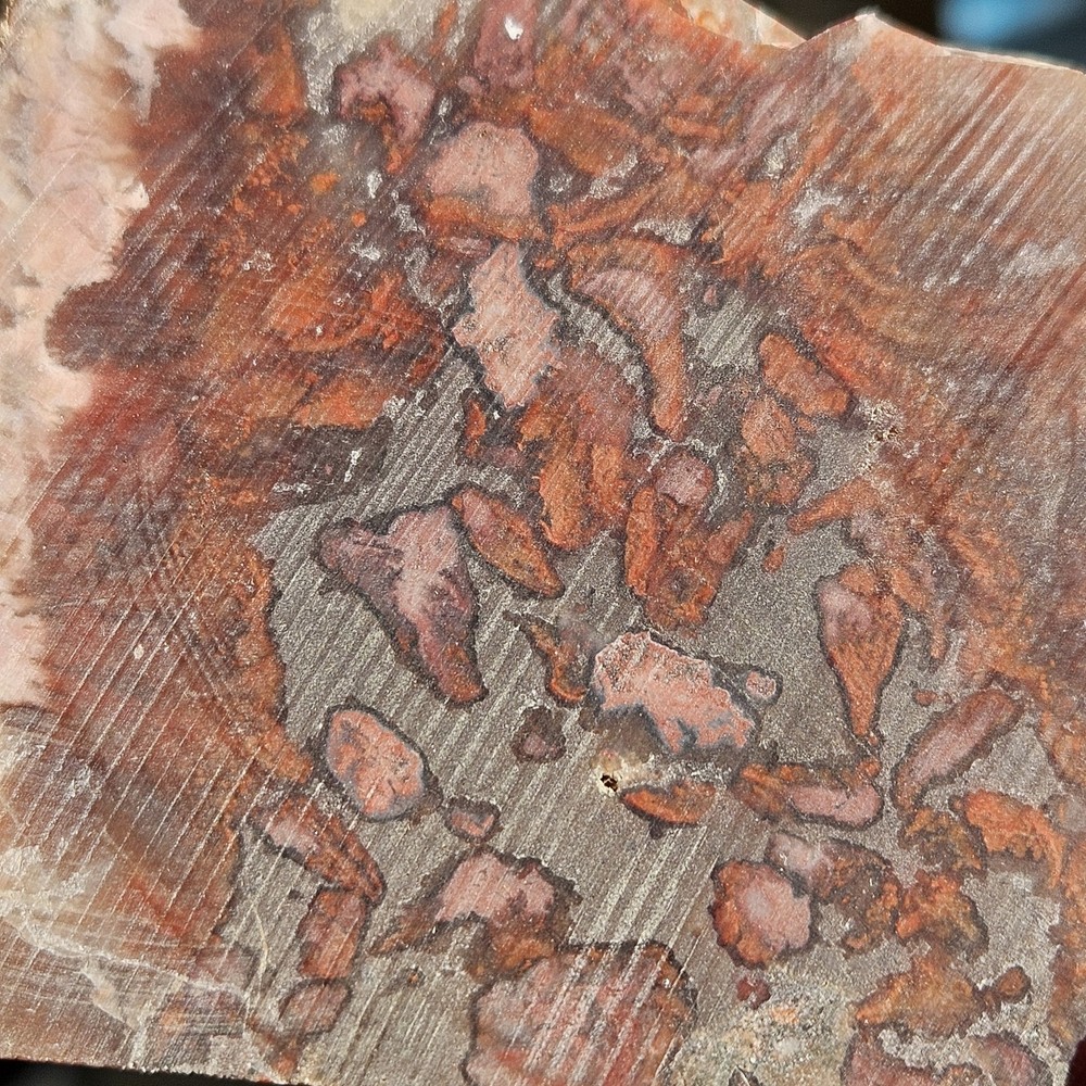 Agate End Cut Lapidary Slab 58 Grams
