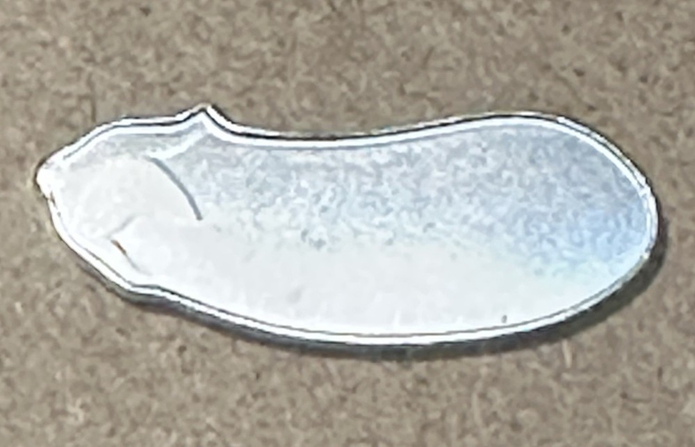 Brilliant Uncirculated 🍆 1 Gram Silver