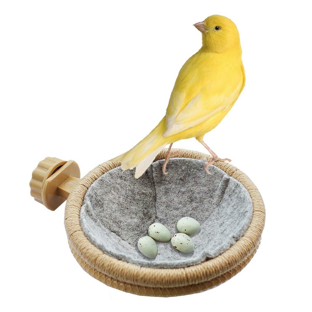 FOIBURELY 8 Pcs Solid Canary Plastic Eggs Hatching Trick The Birds to