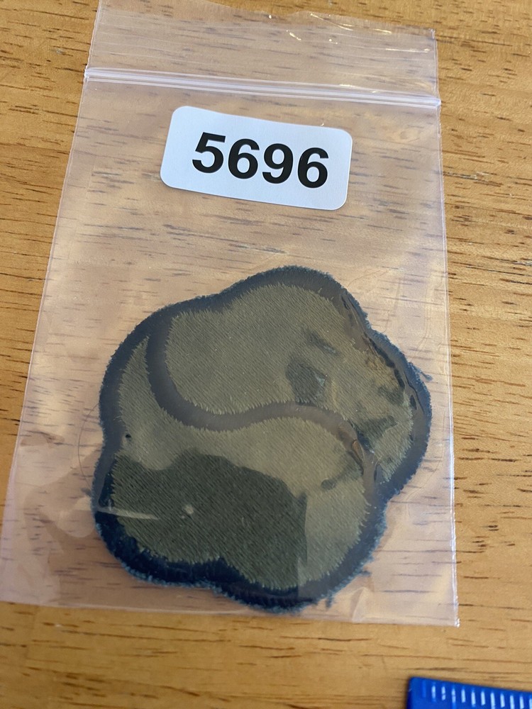 US Army 19th Support Brigade Subdued Patch INV5696