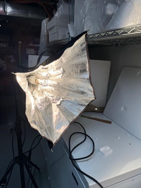 Lowel Rifa LC 44 16x16" Studio Light no diffuser