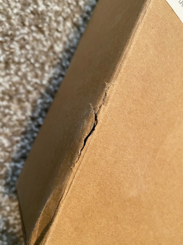 Godox S2 S Type Speedlite Bracket for Bowens + Cold Shoe Flash Mount NEW