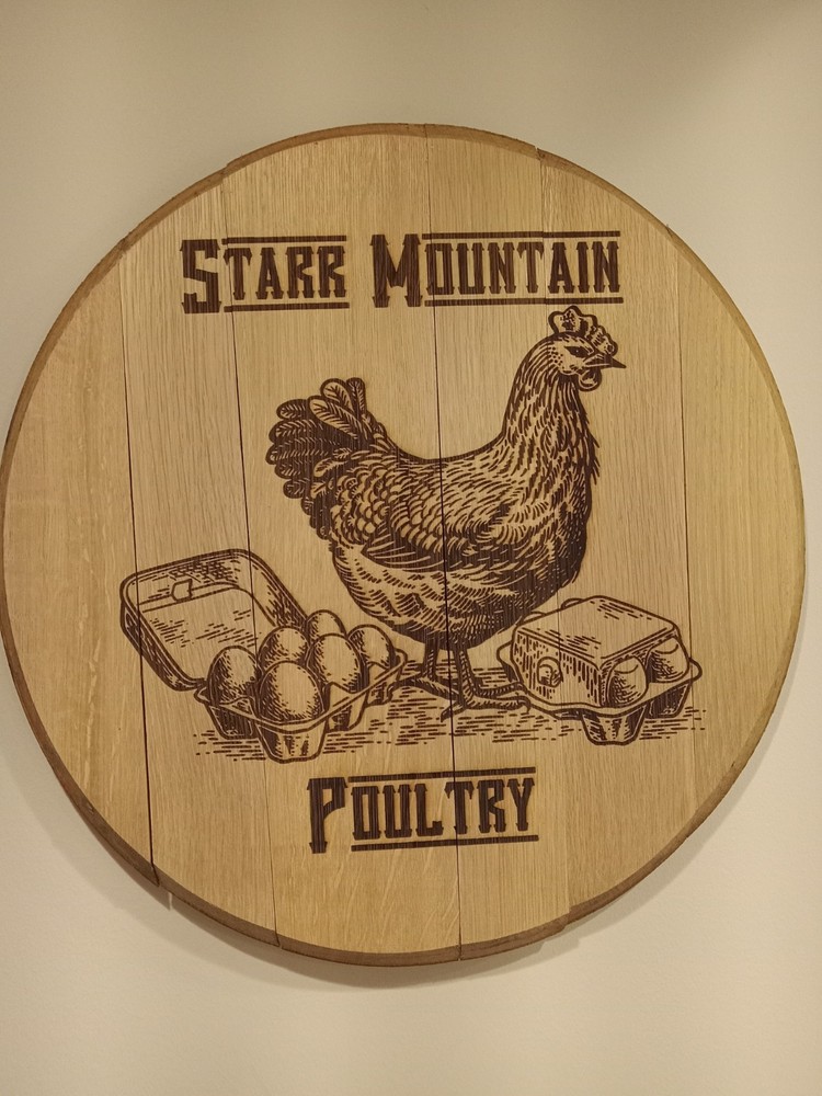 Rare Chocolate Turkey Hatching Eggs