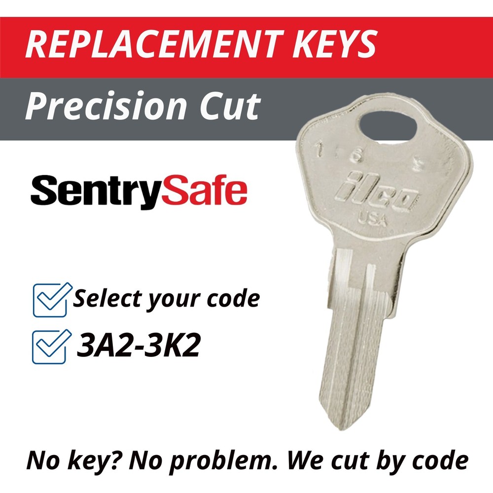 Sentry Safe Keys Firebox Cash Box Replacement Key Cut to your Code 3A2-3K2
