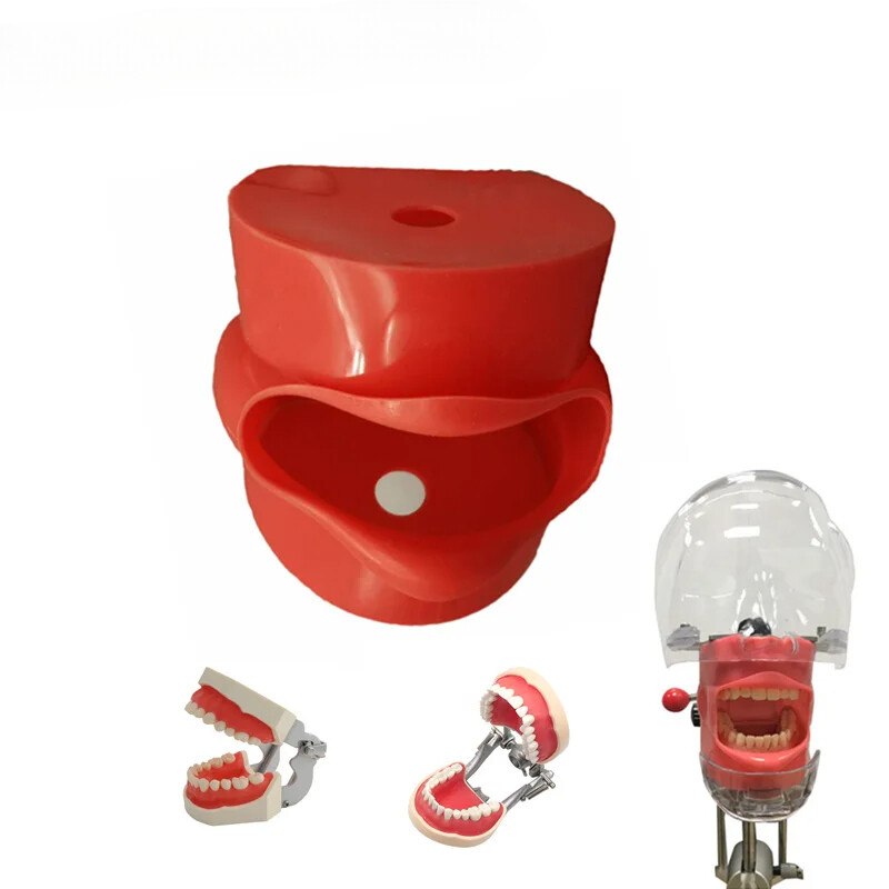 Dental Model Practice Silicone Mask Teeth for Technician Training Simulation