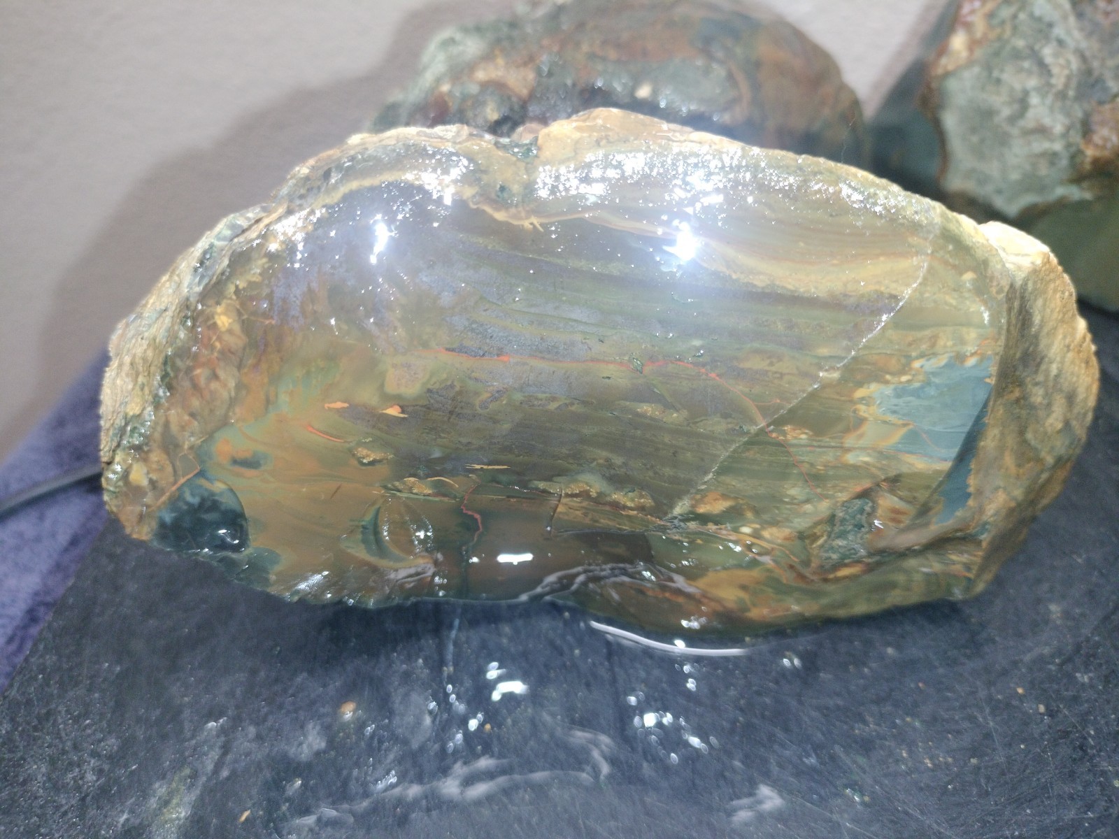 7.3LB ORBS Blue Mountain Picture Jasper Rough 6pc Lot #26