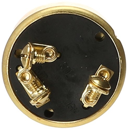 International MP39060-1, Ignition Switch, white