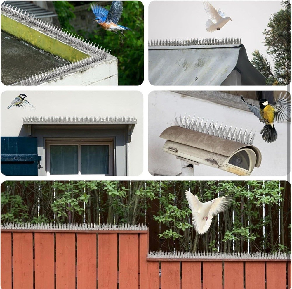 Bird Spikes Strips 60x1 Ft