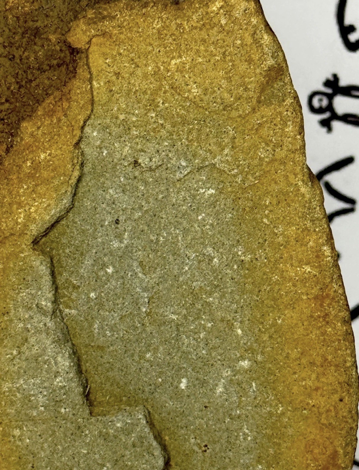 Native American Indian Authentic Artifact Stone Carved Effigy, 2 lb 12 oz • VA