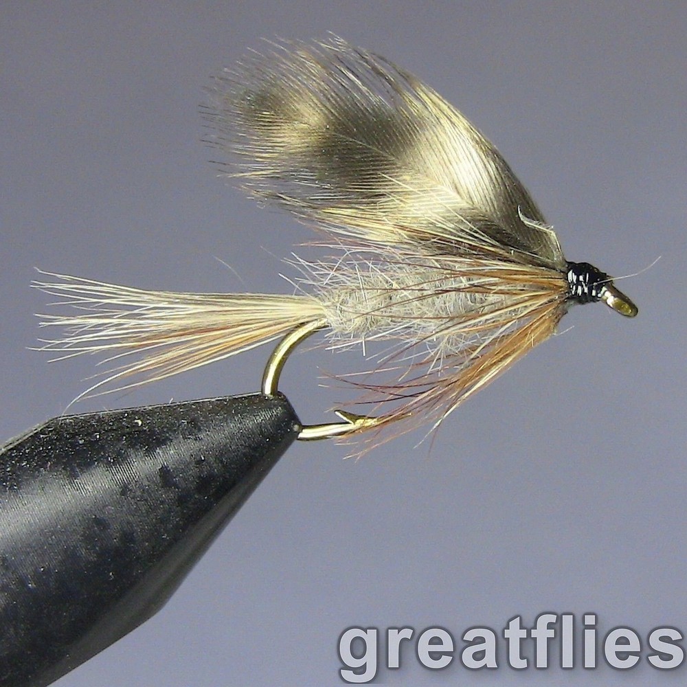 1 dozen (12) - Adams - WET FLY