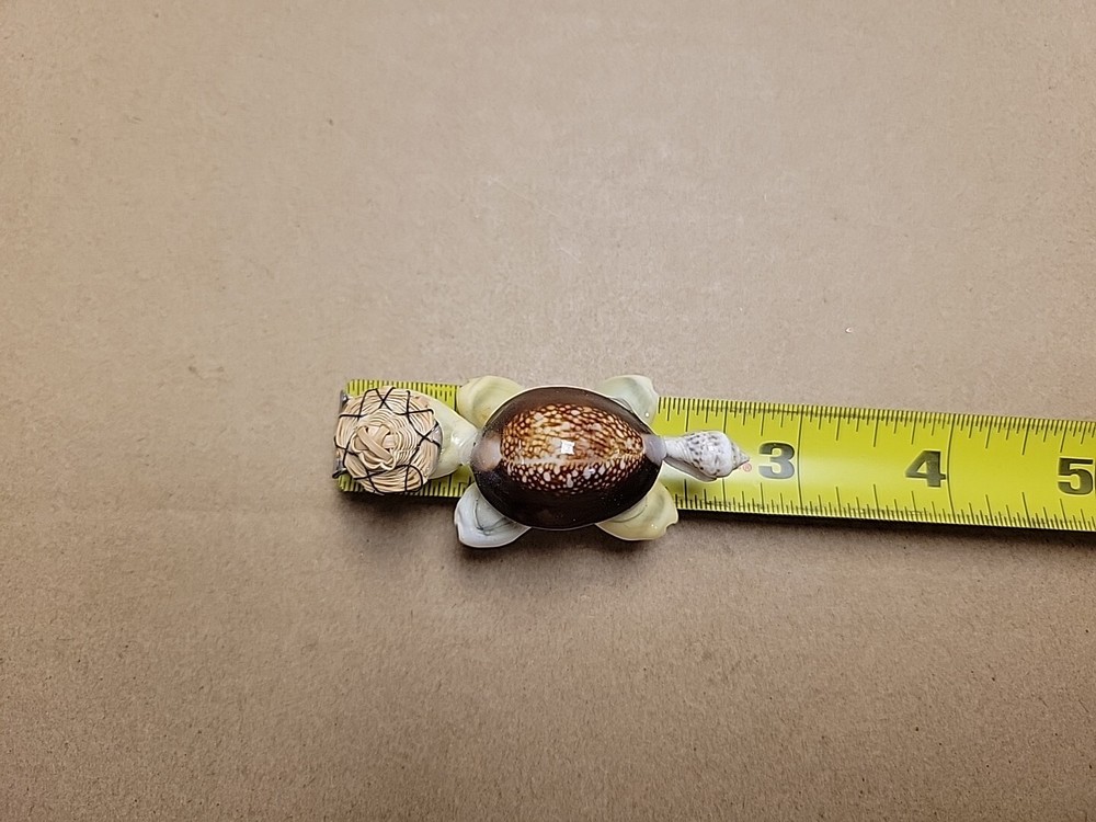 Handmade Seashell Turtle Tortoise Shell with Wire Glasses Hat