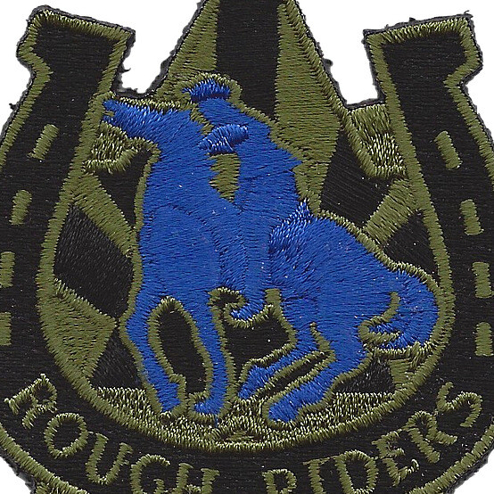 118th Cavalry Regiment OD Green Patch Hook And Loop