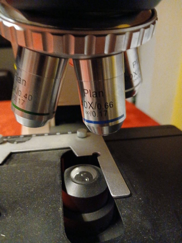 Seiler Microlux IV LED Compound Microscope With 5- Objectives