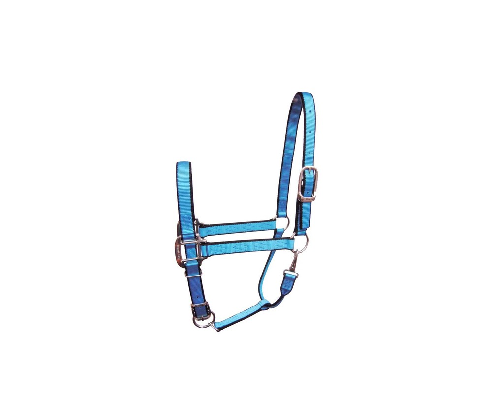 Hamilton Quality 3/4" Nylon Adjustable Halter With Snap