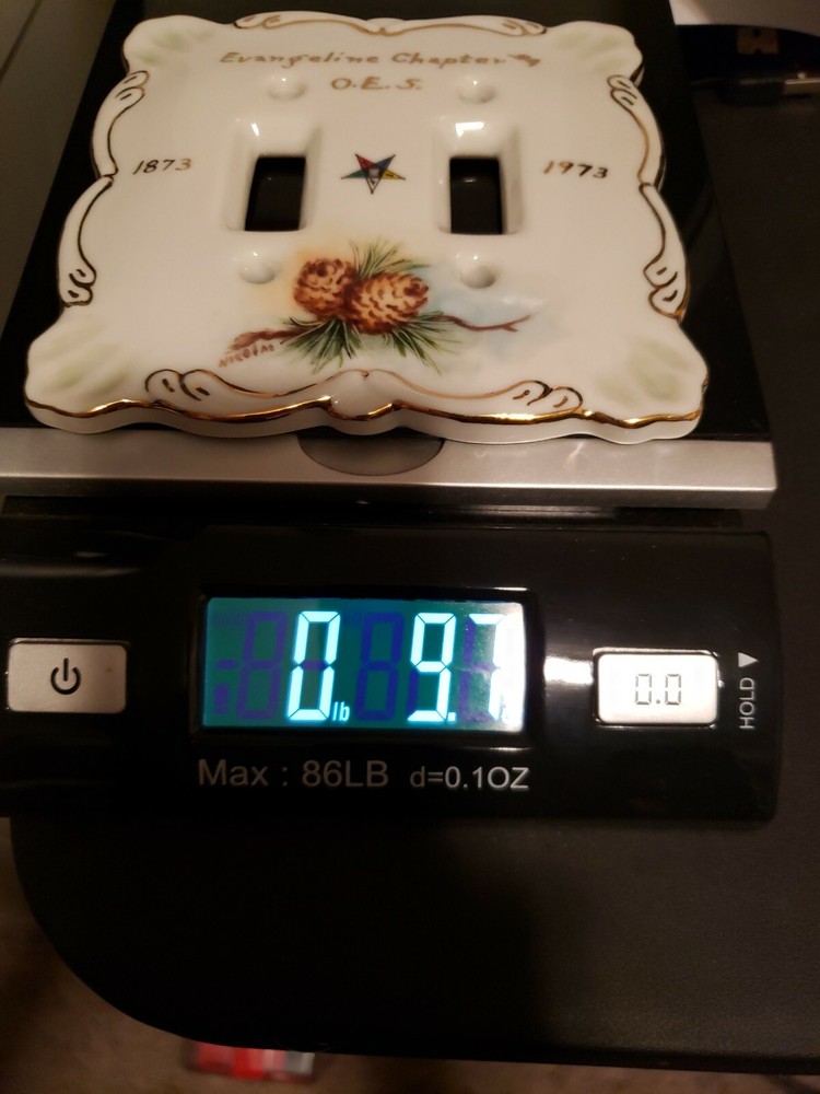 Evangeline Chapter #9 Double Light Switch Cover. Never used.