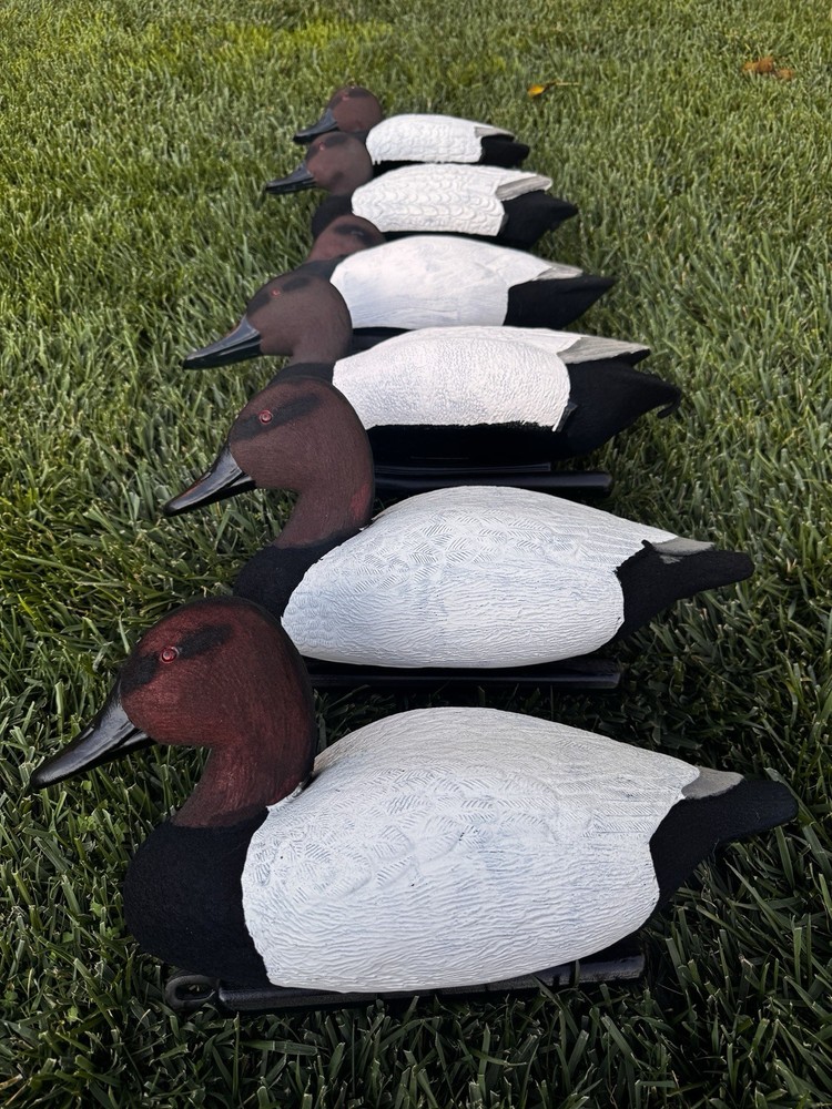 Flocked  Custom Canvasback Duck Floating Decoys Hyper Realistic