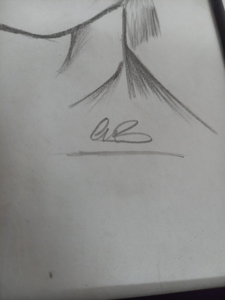 David Bowie Ziggy Stardust Framed Drawing Artwork