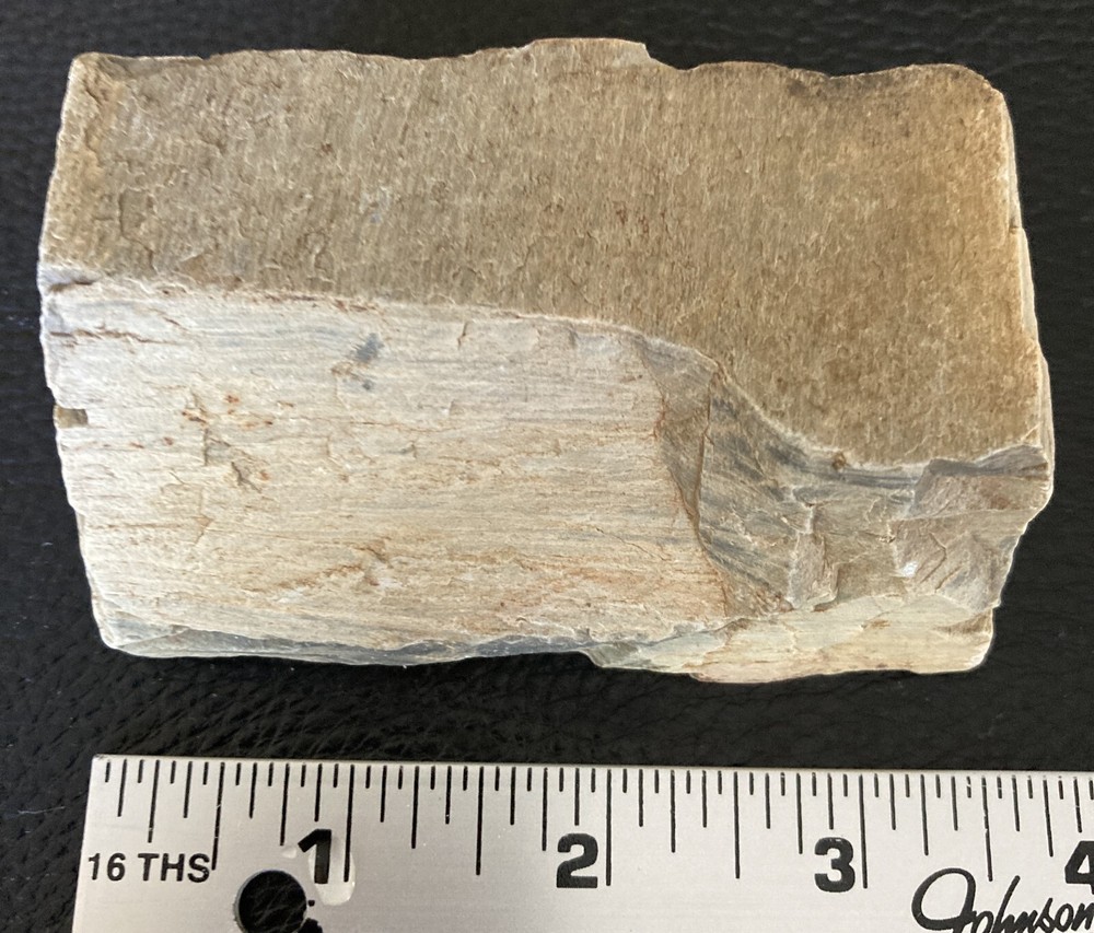 Petrified Wood Chunk - 12oz