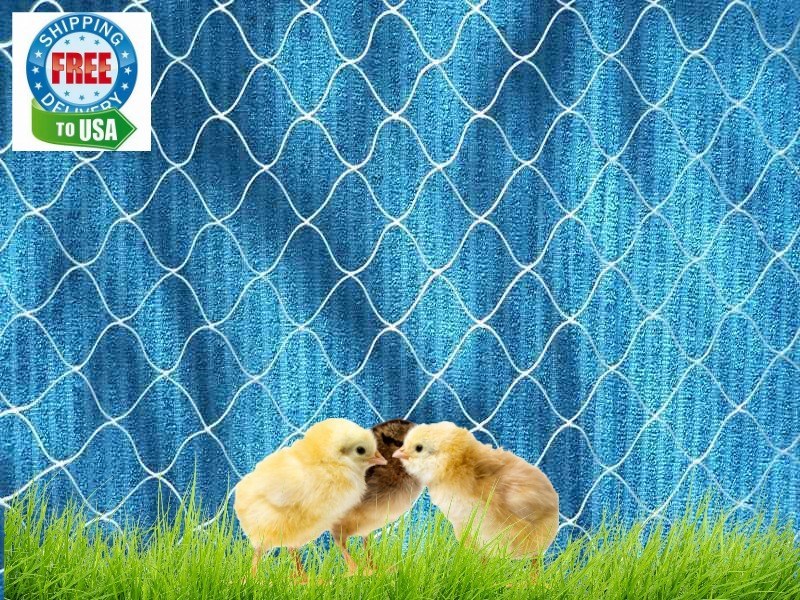 25' Poultry, Game Bird, Chicken, Duck, Quail, Protective Netting 2" Holes #4