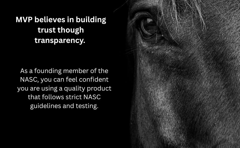 Magnesium 5000 for Horses - Calm, Boost Metabolism, Support Muscle Function