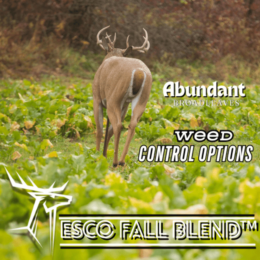 Eagle Seed ESCO Fall Blend™ Deer Food Plot Habitat Seed