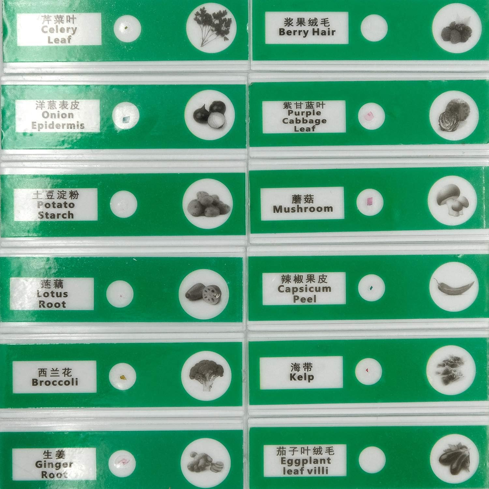 48Pcs Prepared Plastic Microscope Slides Biological Specimen with 4 Boxes for Ch