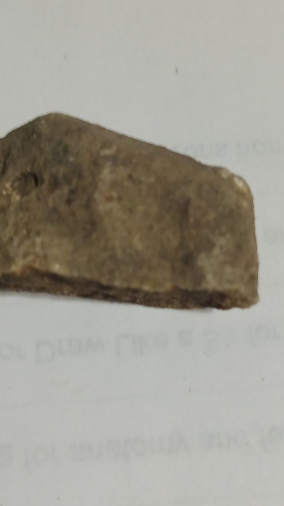 Fossilized Mammal Bone Fragment