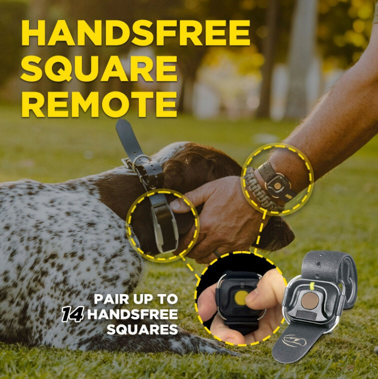 Dogtra 1900X HANDSFREE Dog Trainer Remote E-Collar 3/4 mi, Tone & XPP Vibration