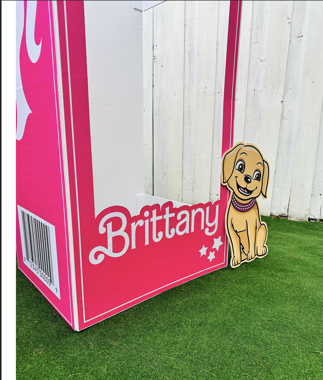 Doll photo booth, popular pink doll, birthday girls, barbie inspiration