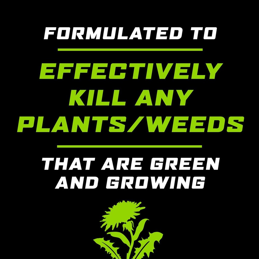 Ortho GroundClear Weed & Grass Killer2 Concentrate Quickly Kills 32 oz