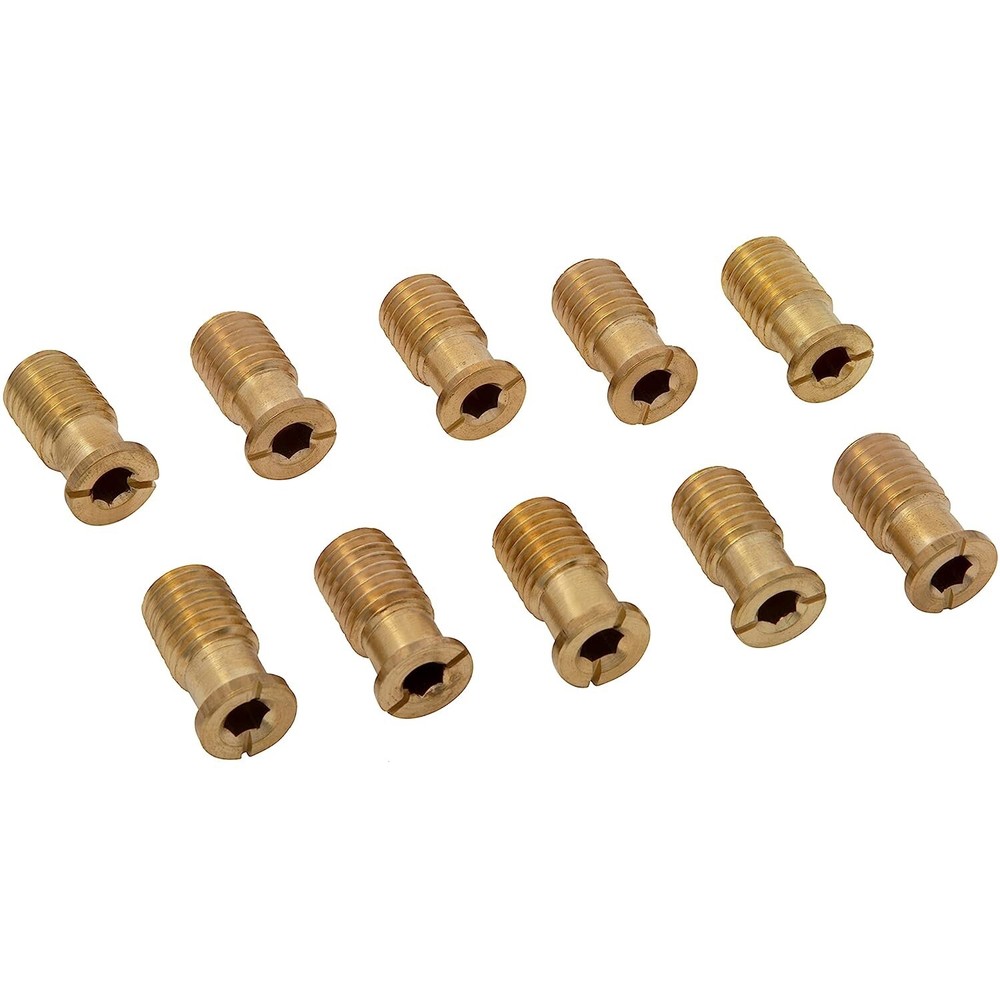 Pool Cover Brass Anchor Head Screw Bolt